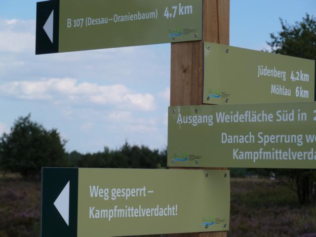 Auf dem Rückweg in Richtung Möhlau/Sollnitz