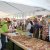 2014 - Pflaumenkuchenfest