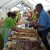 6. Törtener Pflaumenkuchenfest 2011